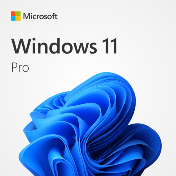 windows 11 pro